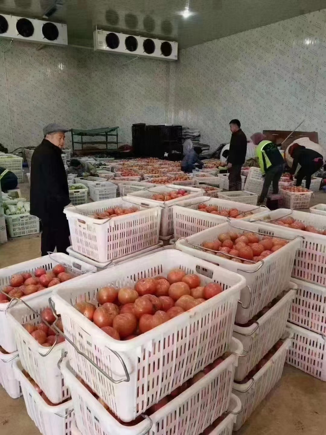 物流包装周转筐：供应链的无声革命者与效率基石
